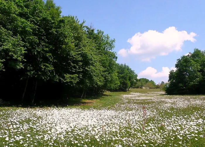 Domaene Mit Jacuzzi By Interhome 別荘