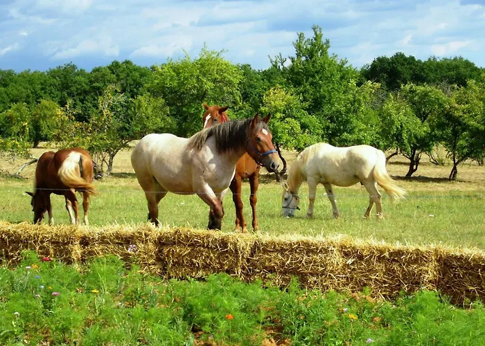 Feriehus Domaene Mit Jacuzzi By Interhome *